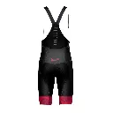 Bikecat_HEX15-Girona_Bordeaux-Absolute-bib-shorts_back.webp