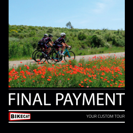 Bikecat Custom Tour - Final Payment
